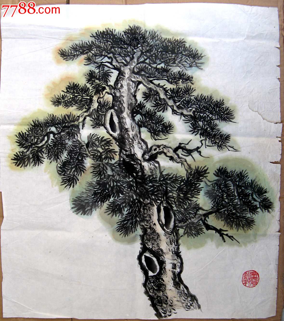 三尺斗方写意林木画:青松长青_花鸟国画原作_作品欣赏_收藏价值_7788