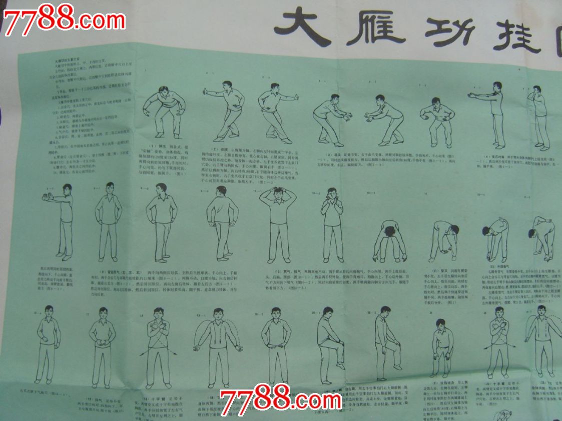 大雁气功全套功法图片