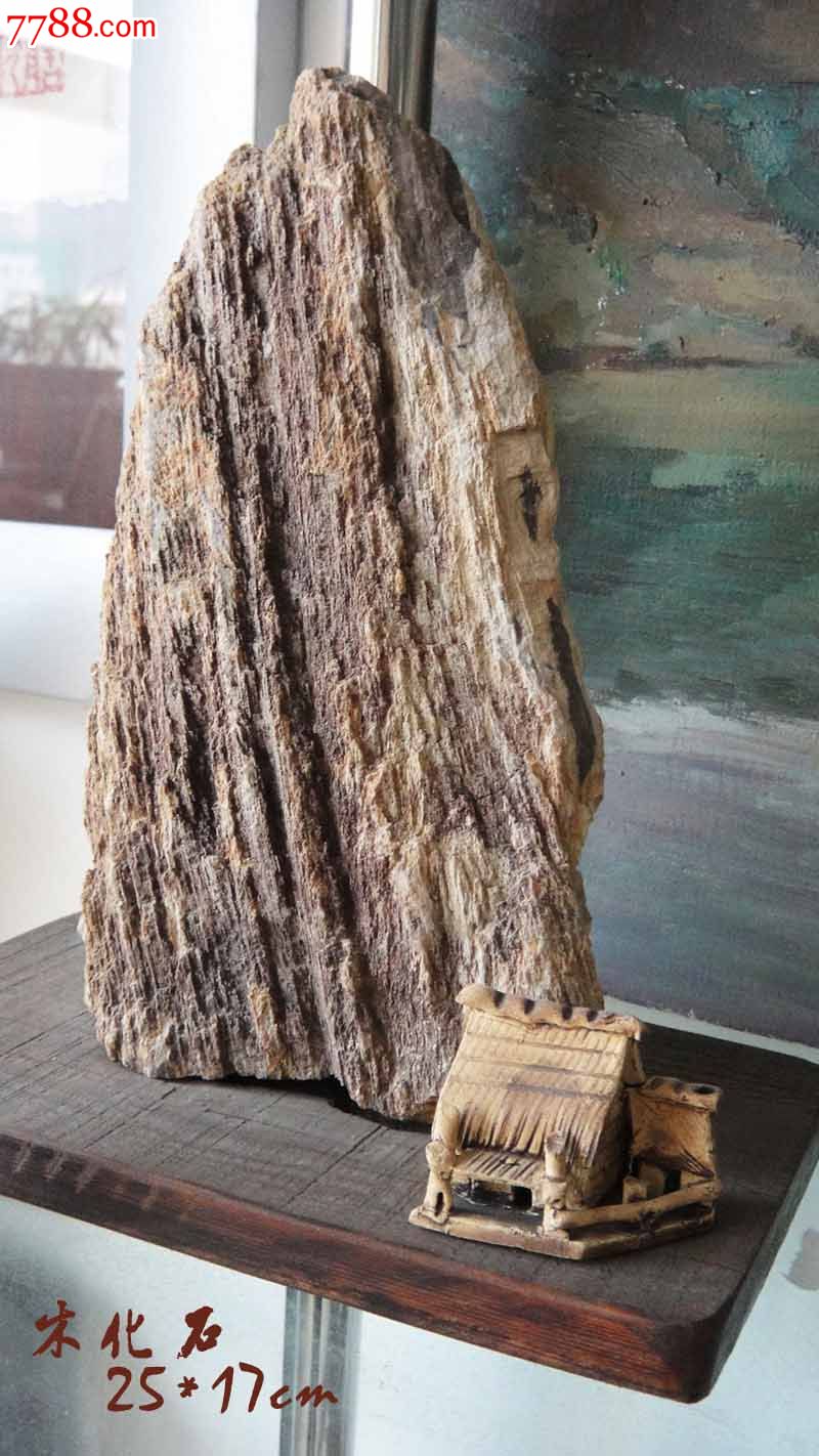 即墨马山木化石图片