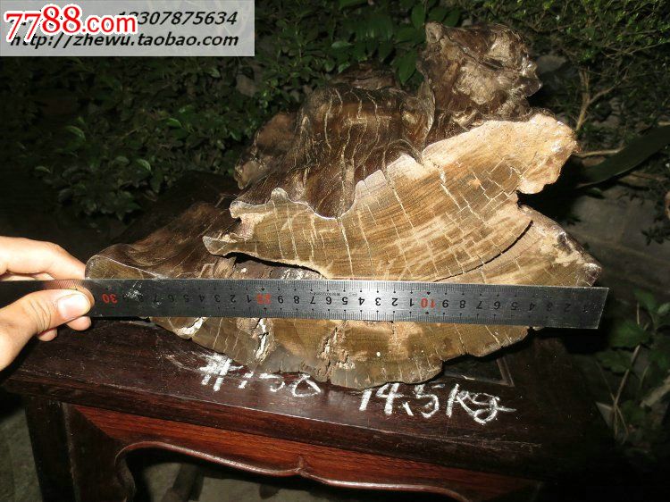 阴沉青冈木天然根艺礼品收藏工艺品乌木古典摆件古玩