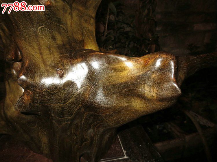 阴沉柘木天然摆件黄金木绿料琥珀感古沉木原生态根艺