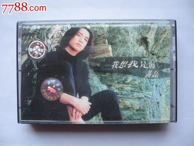 黄磊/我想我是海
