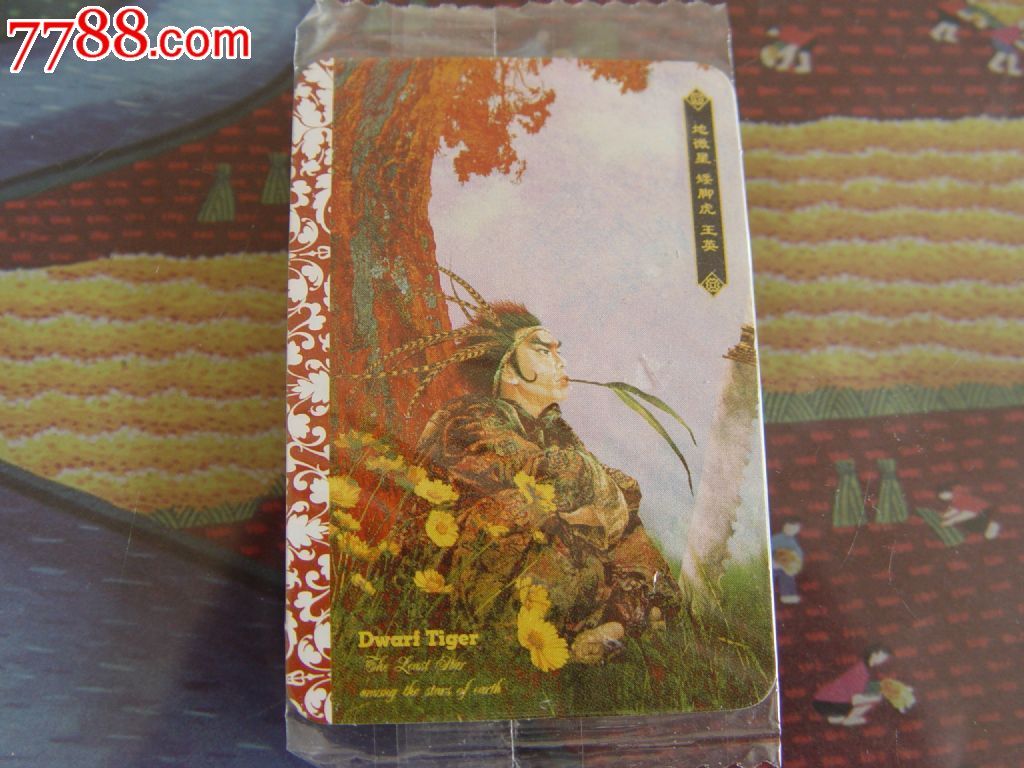 华丰魔法士水浒