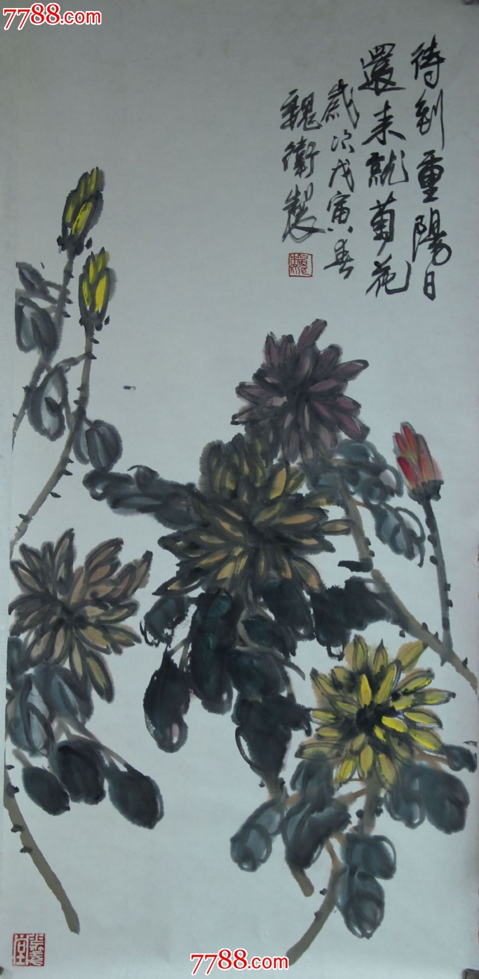 待到重阳日还来就菊花