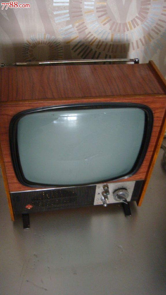 菊花牌电视机