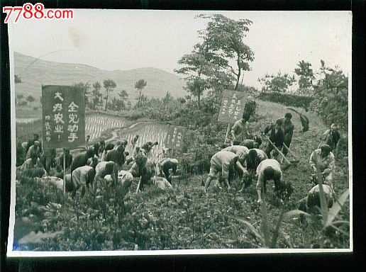 zp14410-16黨員幹部到農村農業學大寨