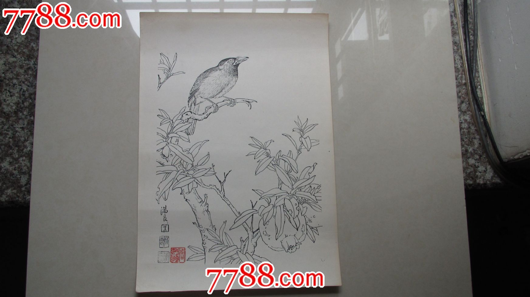 (满良)画眉鸟,石榴