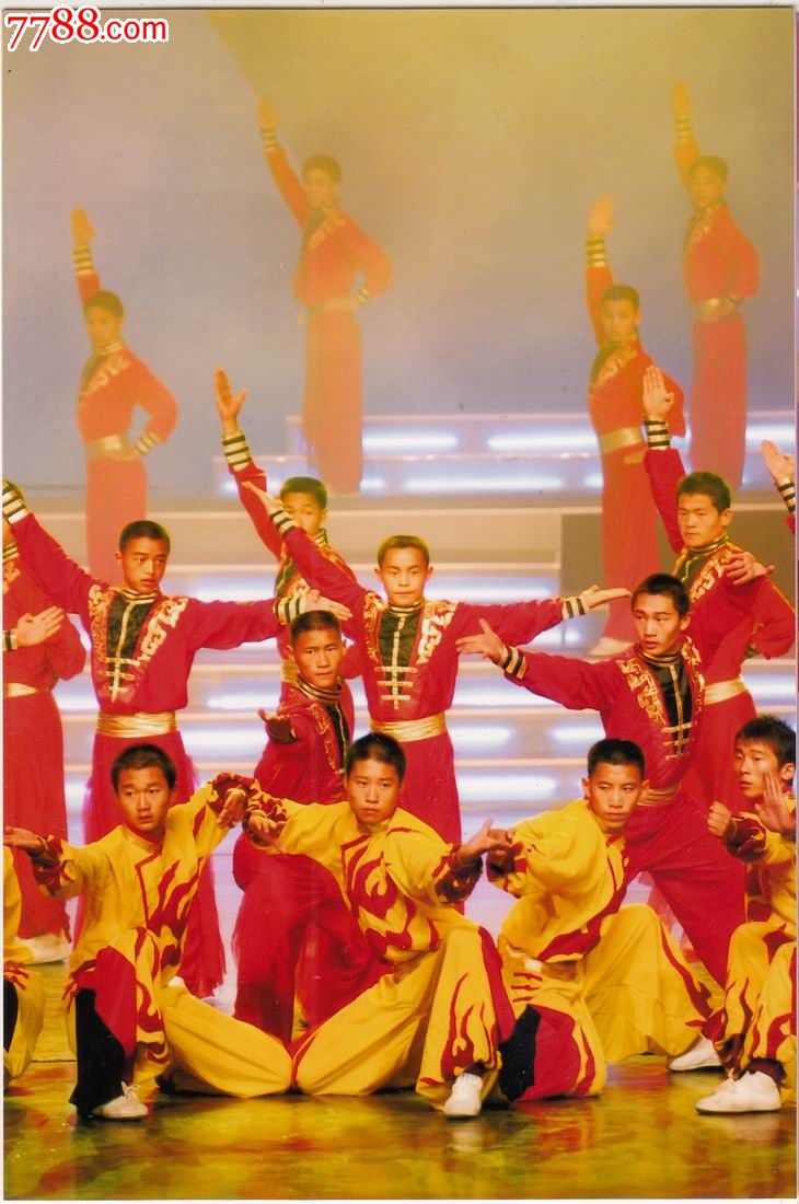 【为了山里的孩子捐资助学大型文艺晚会】少林武术·表演