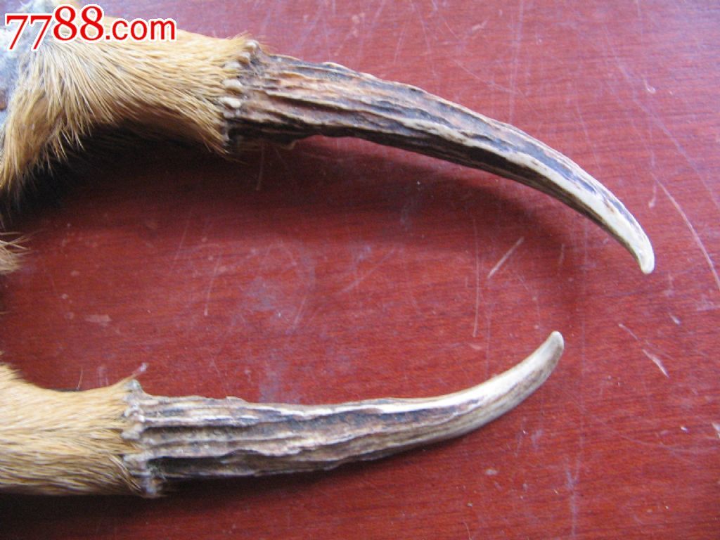 麂子角匙串车饰均可一对可联【可批发】