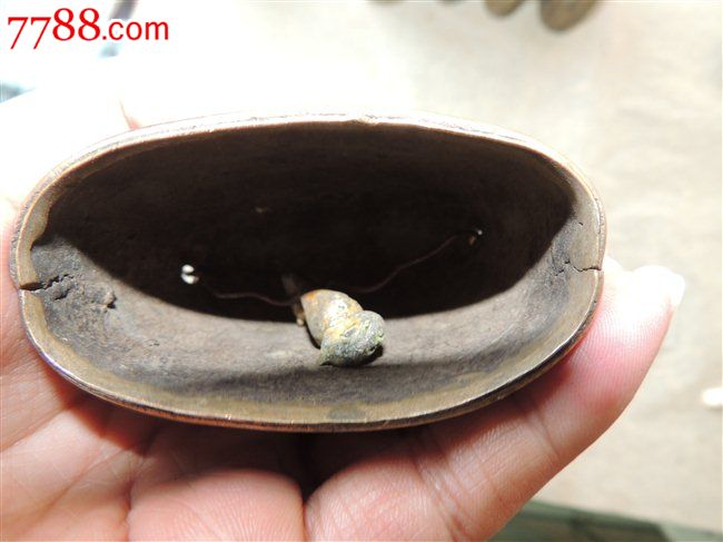 老牛铃铛,缅甸的!边境货!