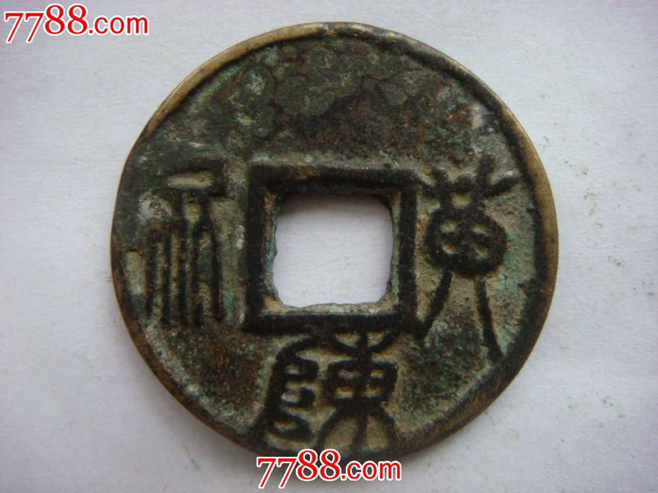 大泉五十背