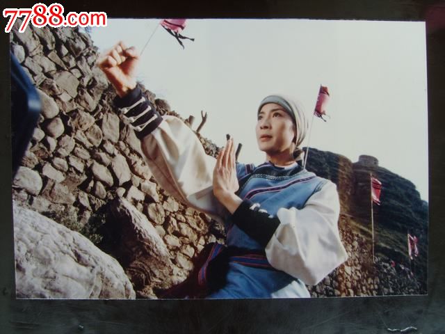 甄子丹,杨紫琼,李子雄主演的电影《红粉金刚》6枚