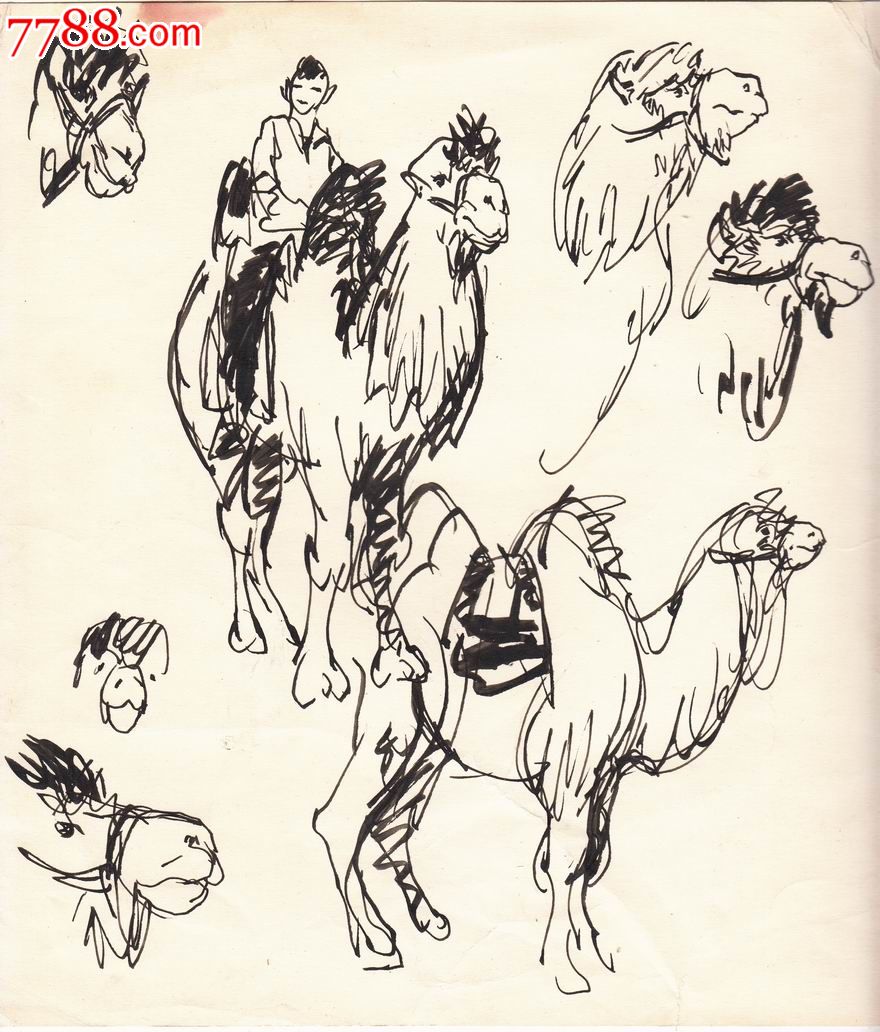 【画家原美院学生·素描·原画稿】骆驼·80年代