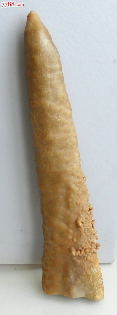 天然无雕琢溶洞钟乳石大摆件——高耸入云