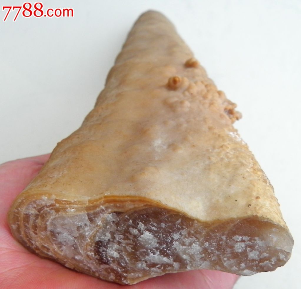 天然无雕琢溶洞钟乳石大摆件——高耸入云