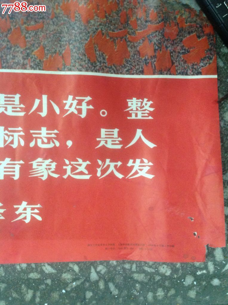 全国无产阶级文化大革命形势大好,不是小好.