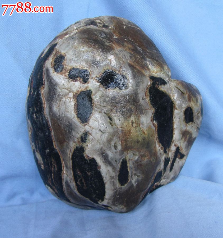 花青石,水冲石,图案石,头像石,观赏石