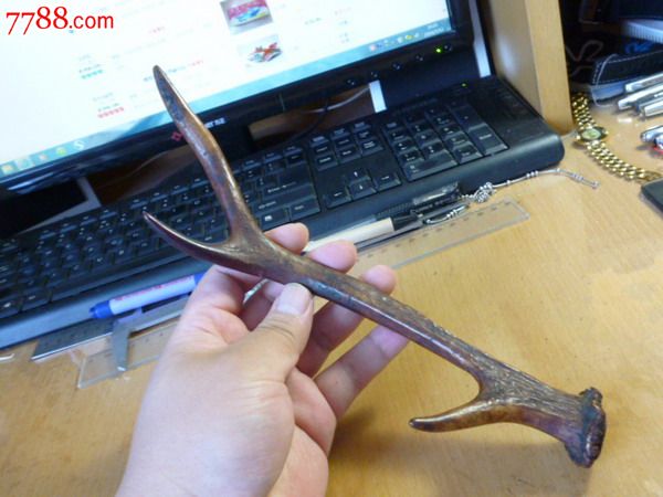 清三代——鹿角!梅花鹿!包浆红褐色!年代久远!-价格:500.