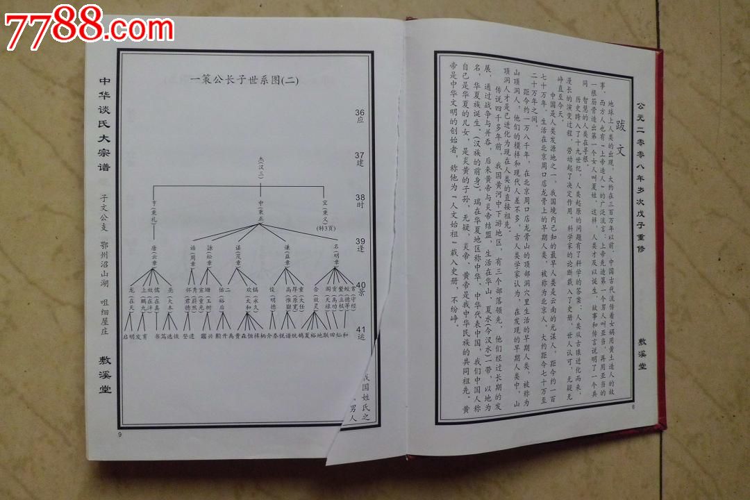 各地谈氏家谱图片图片