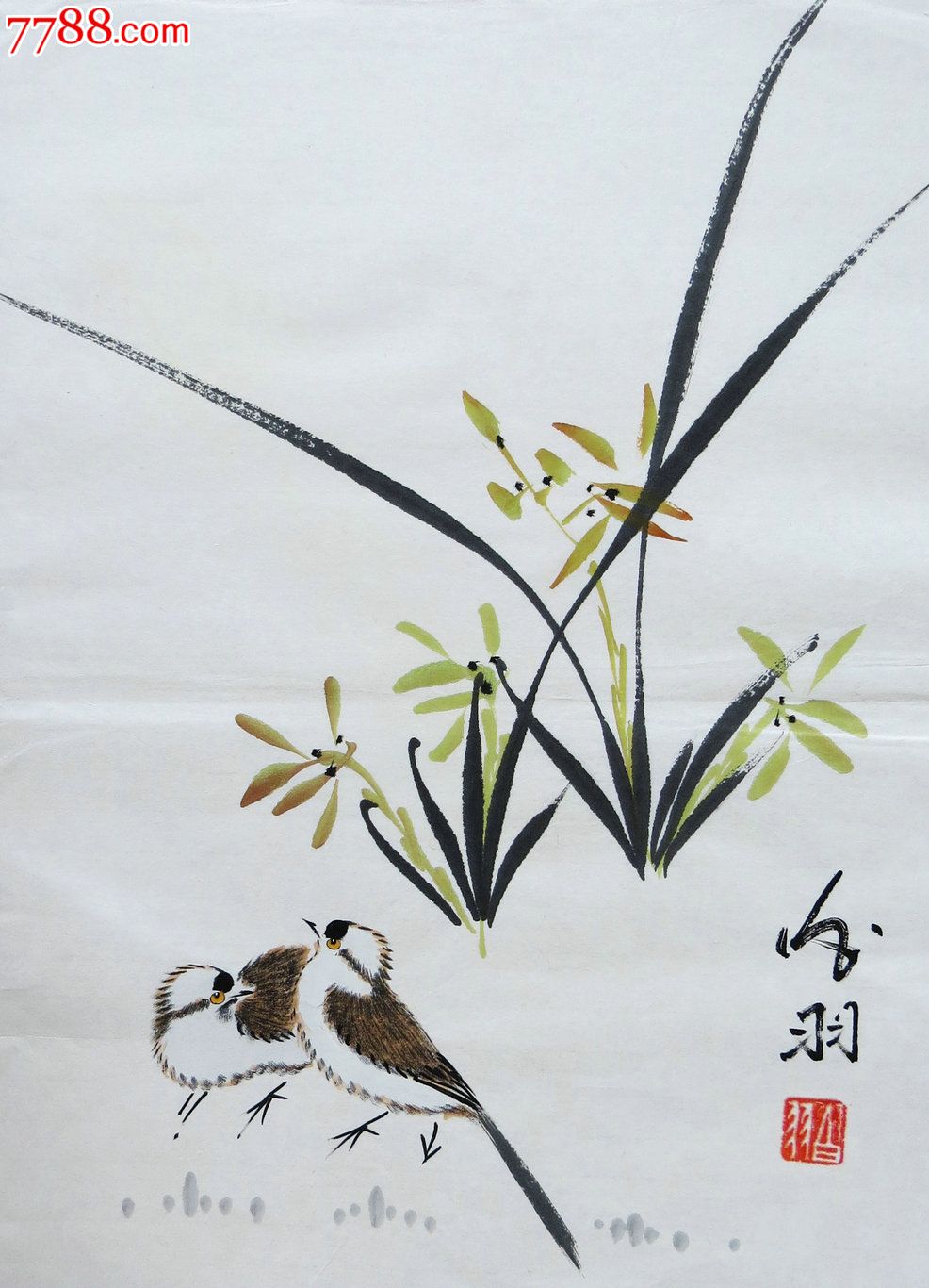 白羽花鸟35*45cm