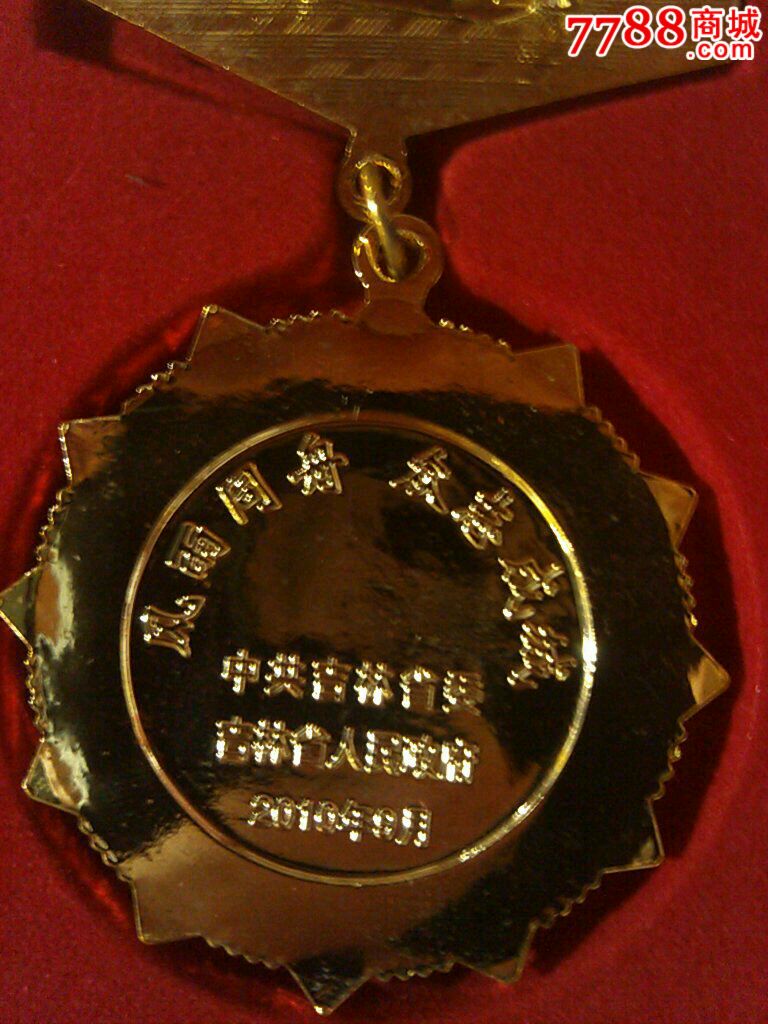 防汛抗洪抢险救灾纪念章