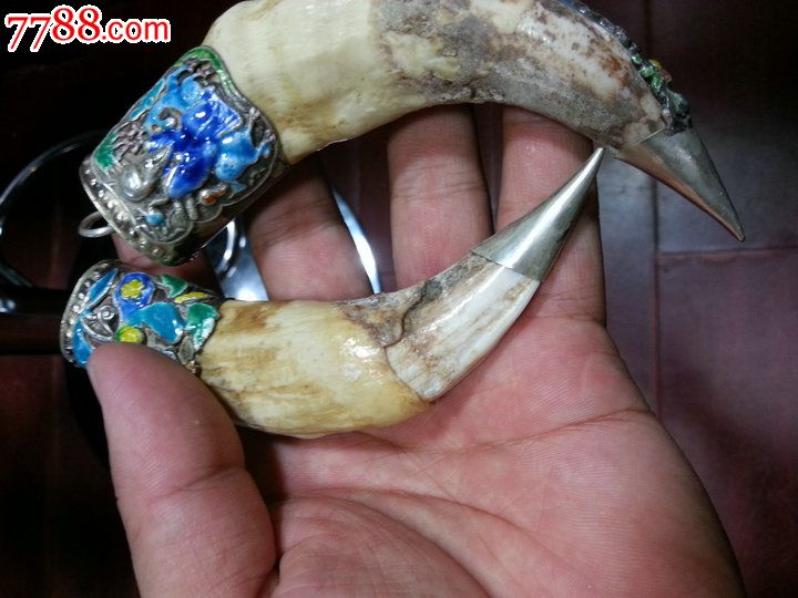 老件镶银大猫牙h牙长13cm单只18000-se25364121-牙制饰品-零售-7788
