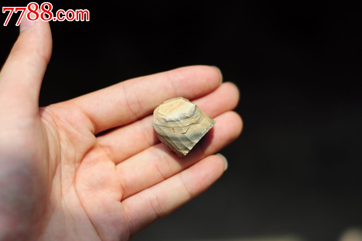 河北唐山市采集新石器时代石核