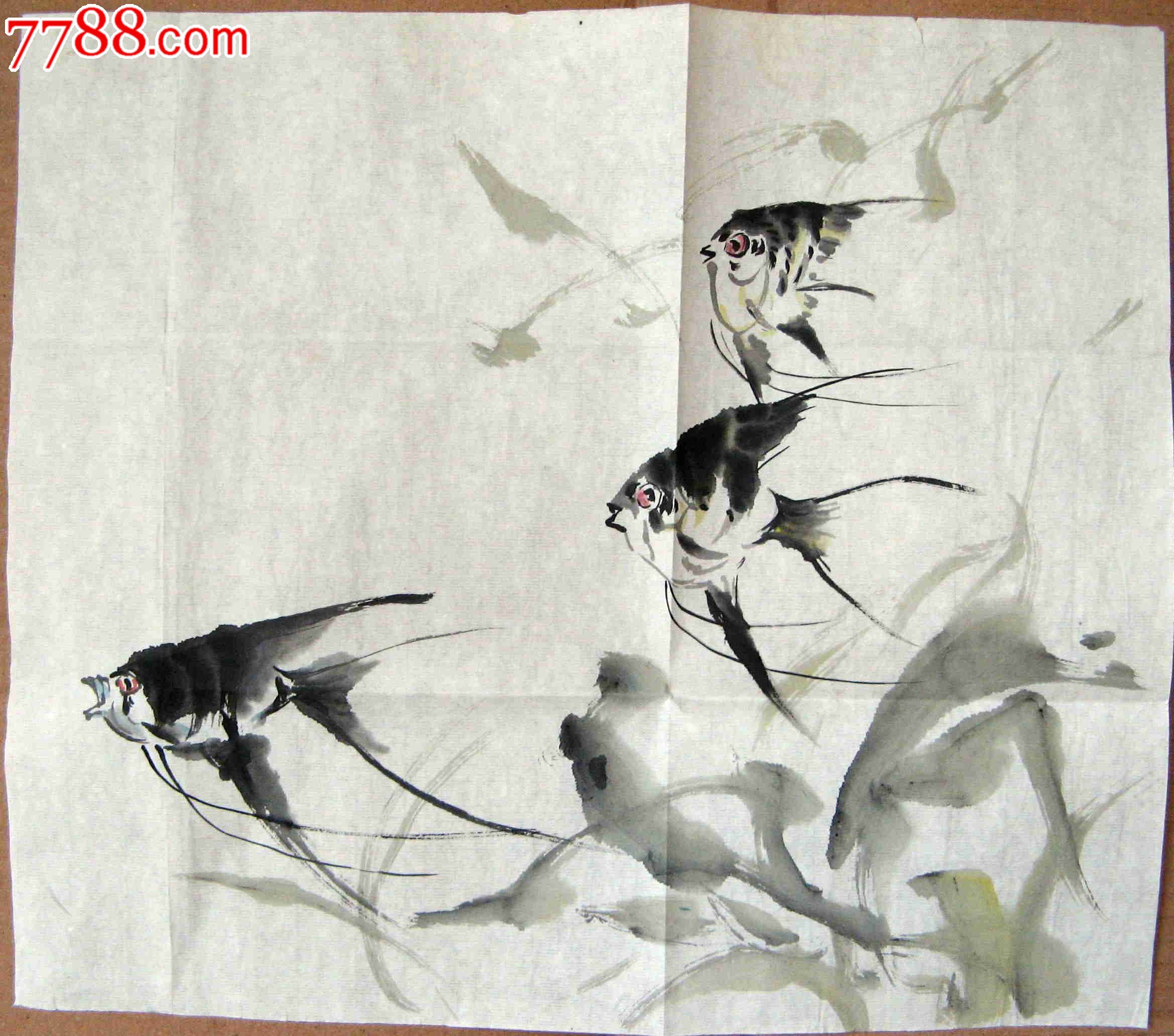 生动传神的一尺余斗方无款鱼画:自由遨游