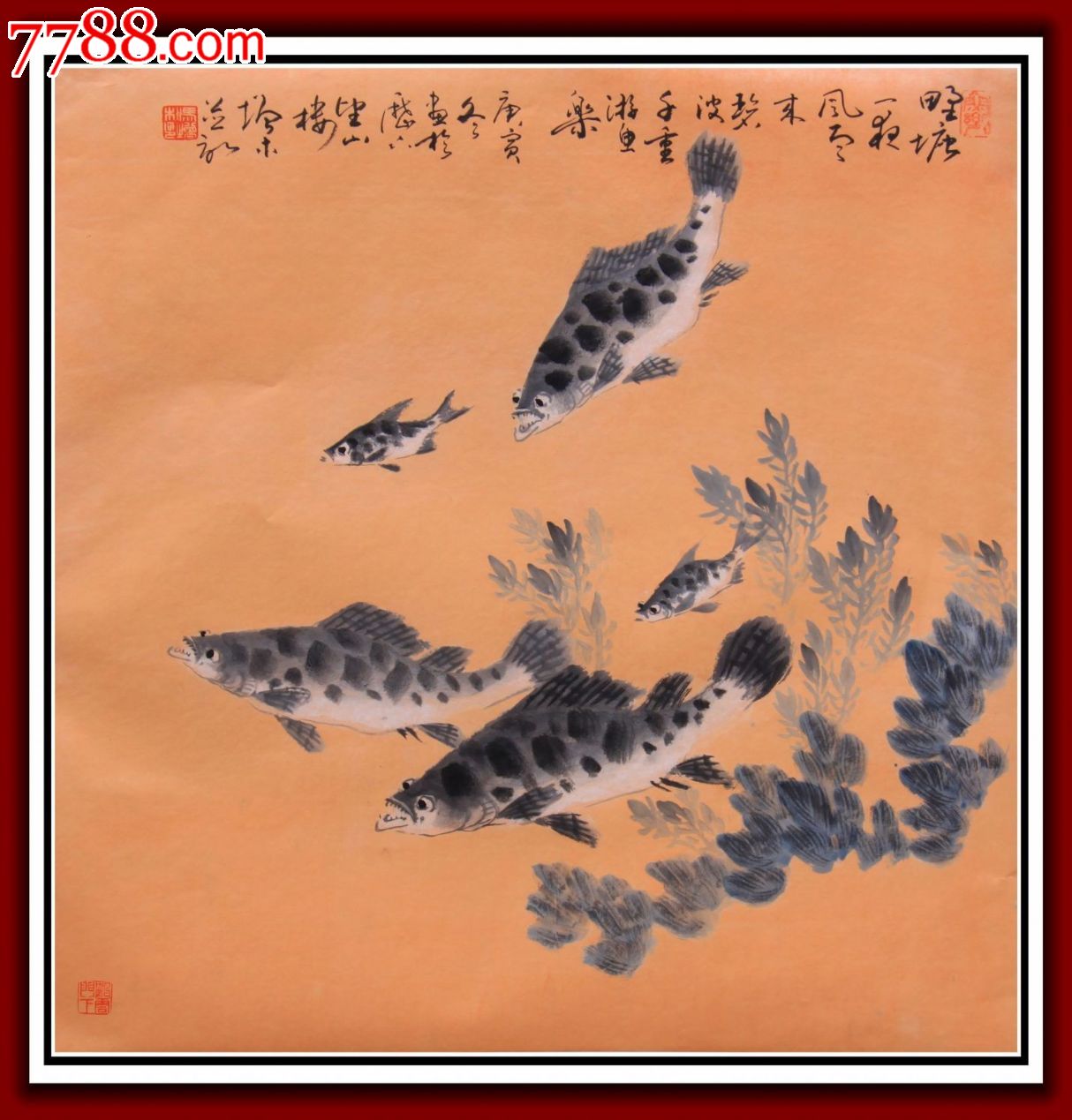 工艺美术大师冯增木先生写意鱼类国画斗方特殊技法"鳜鱼水草"