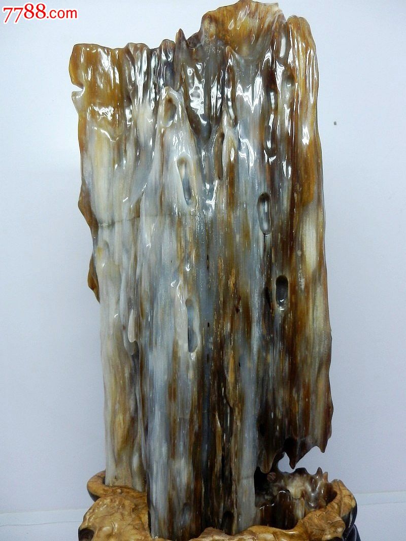 北京誉恒轩树化玉老坑精品缅甸木化玉收藏木化石带鉴定证书