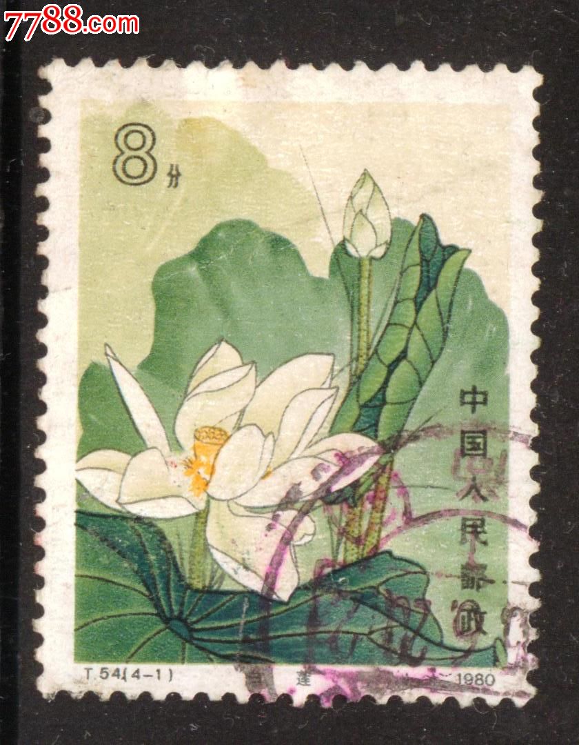 t54荷花4-1信销邮票上品