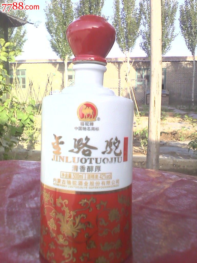 金骆驼--包头魂