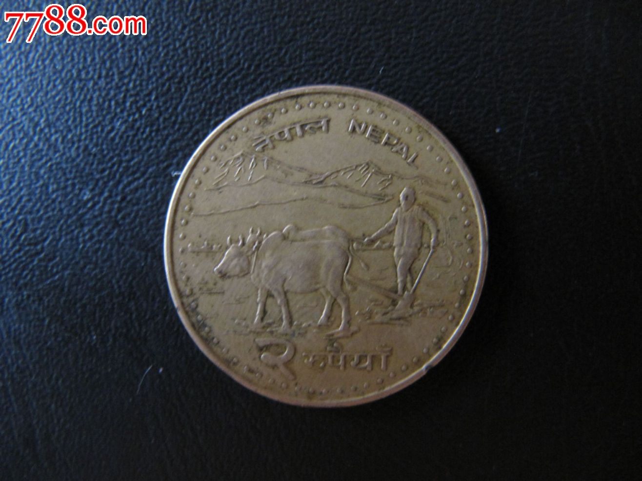 尼泊尔两卢比纪念币