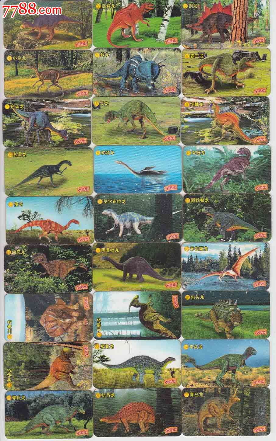 小灵龙(干脆面)恐龙系列卡27枚一套