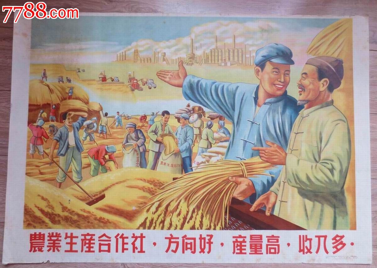 1955年.农业生产合作社,方向好,产量高,收入多.