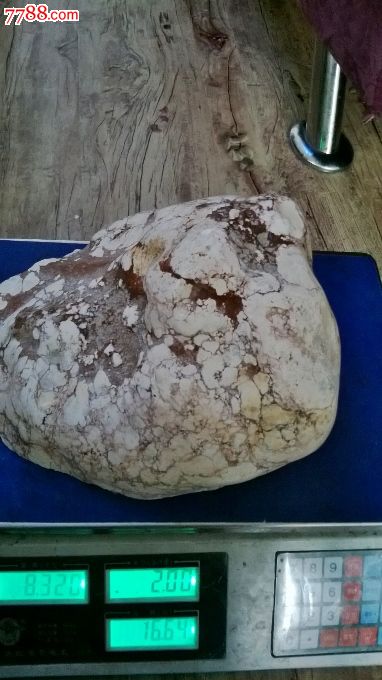 西藏血丝象*玉原石-其他玉石/玉器--se19968132-零售-7788收藏__中国