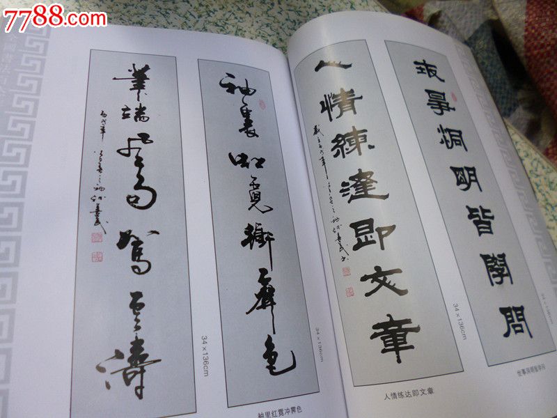 孙善民书法集-中国书画作品精粹与欣赏-(第二集)