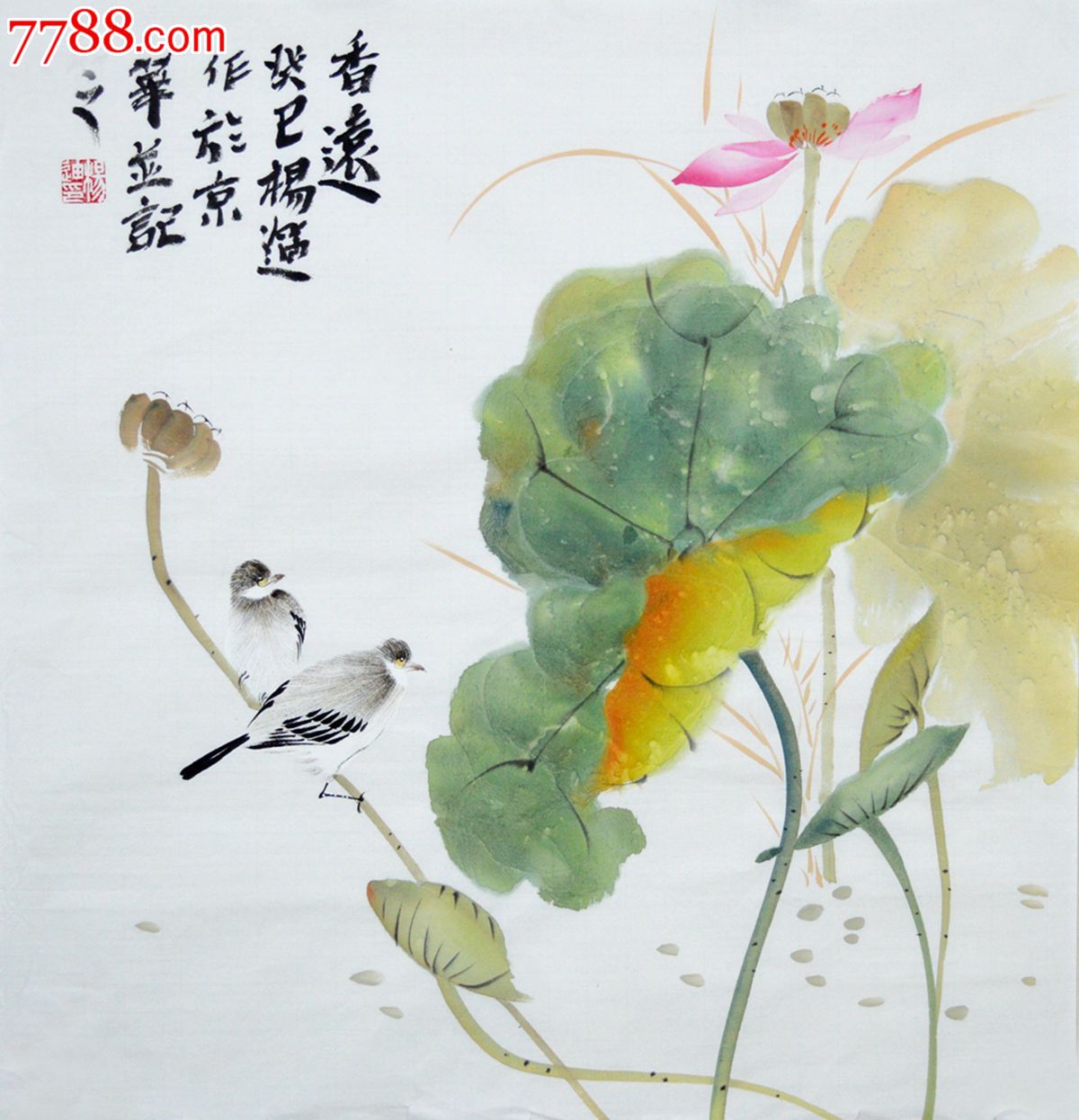 三尺斗方写意花鸟画荷塘香远