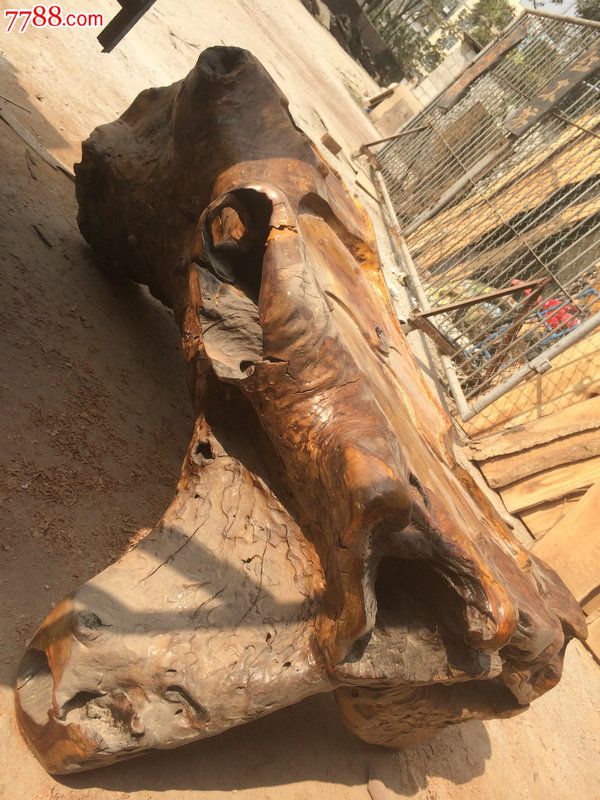 1056根雕黄龙木茶台金光招财三脚金蟾