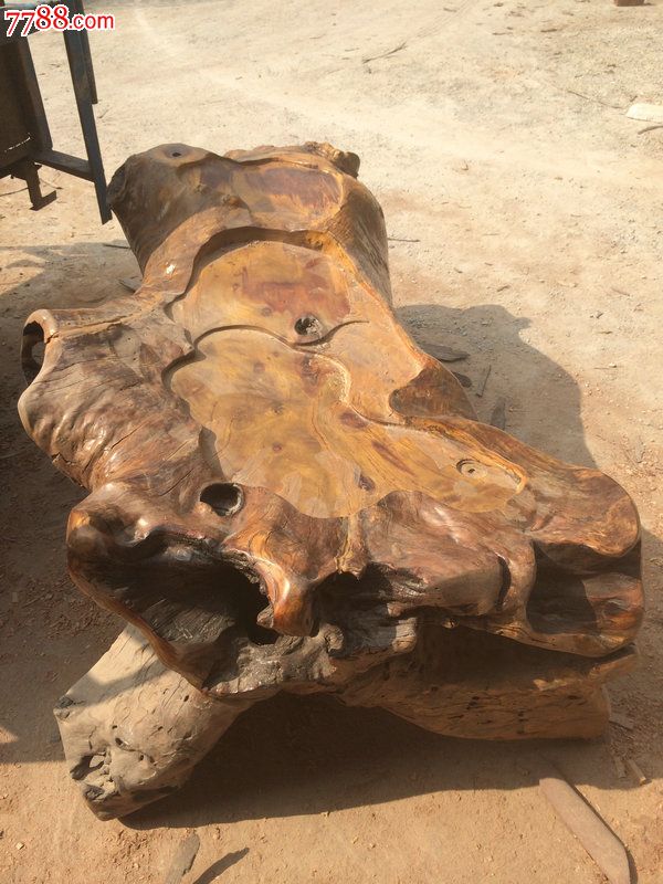 1056根雕黄龙木茶台金光招财三脚金蟾