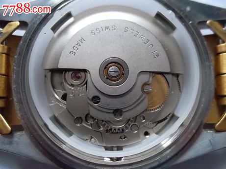 2846白梅花白机芯